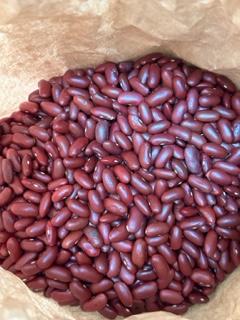 乾燥豆 希少豆 きたロッソ豆 200g