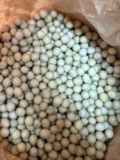 乾燥豆 希少豆 タマフクラ大豆 200g