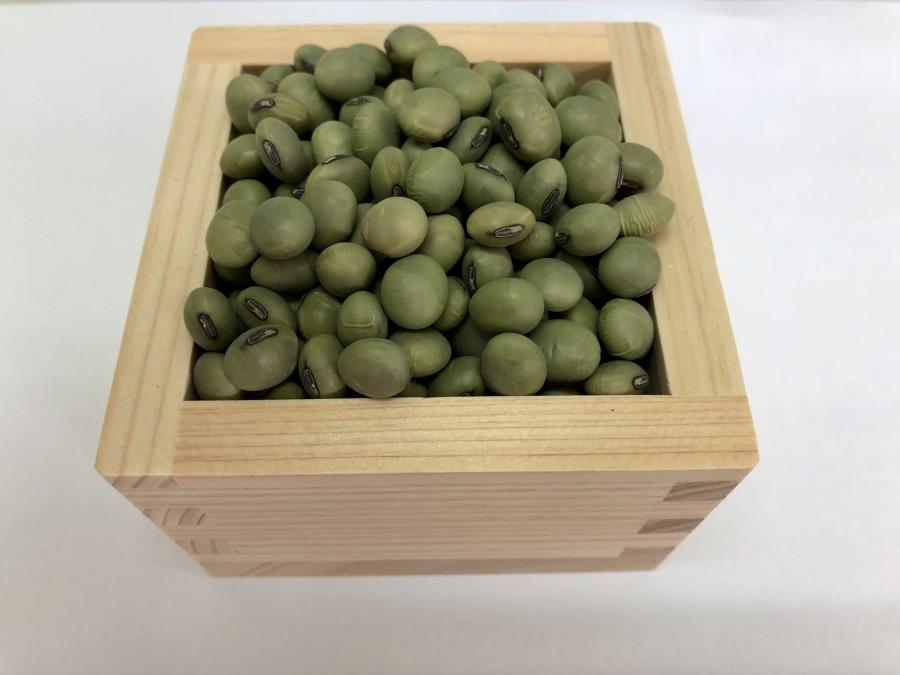 乾燥豆 令和6年産 秋田県 青大豆 500g
