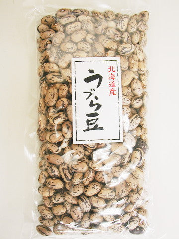 乾燥豆 令和6産 うずら豆 500g