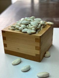 乾燥豆 令和6年産 斗六豆 500g