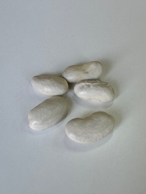 乾燥豆 令和6年産 斗六豆 500g