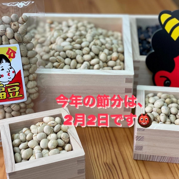 北海道産 無添加 大豆いり豆 70g お試し商品