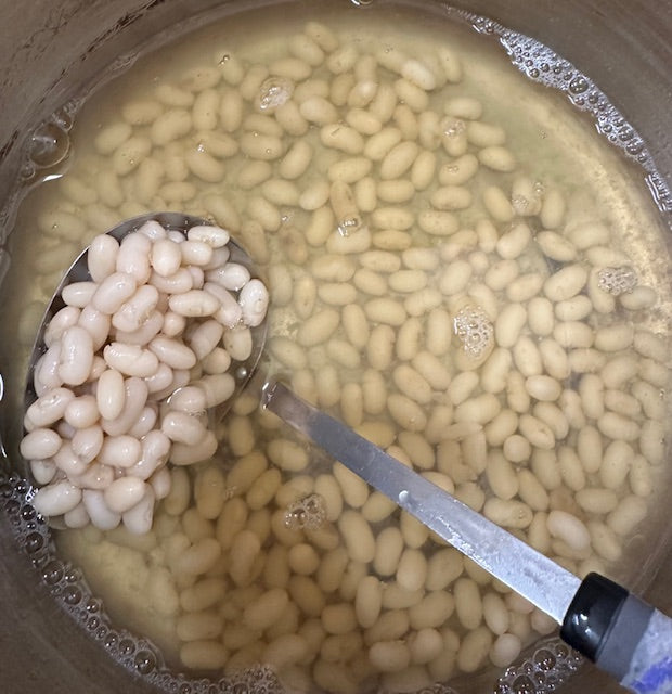 乾燥豆 令和6年産 いんげん豆 500g