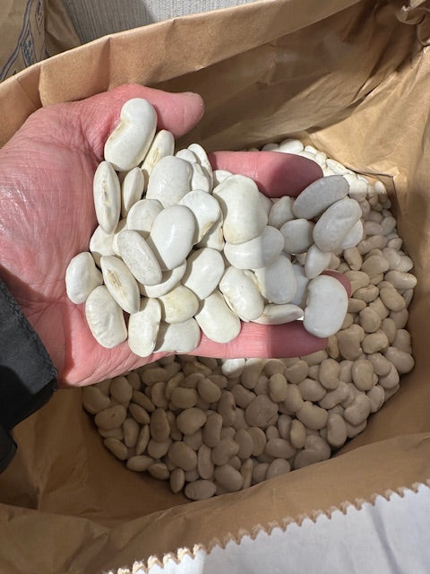 乾燥豆 令和6年産 白花豆 500g