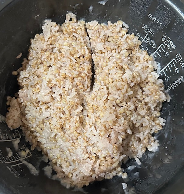 讃岐もち麦 ダイシモチ 500g 香川県善通寺市産