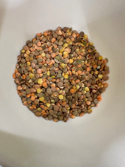 オレンジ　レンズ豆　（皮むき）　５００ｇ　