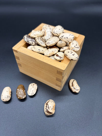 希少豆　北海道産　山花豆　２５０ｇ