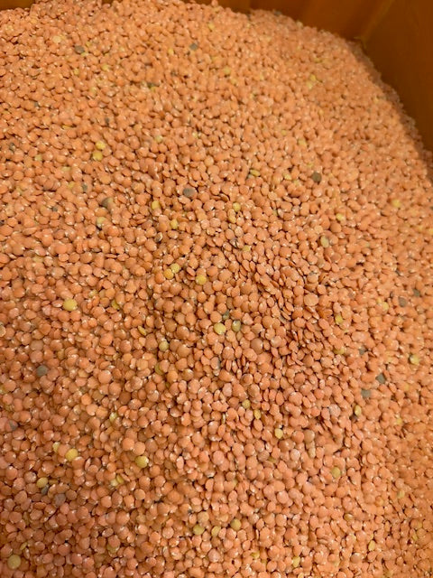 オレンジ　レンズ豆　（皮むき）　５００ｇ　