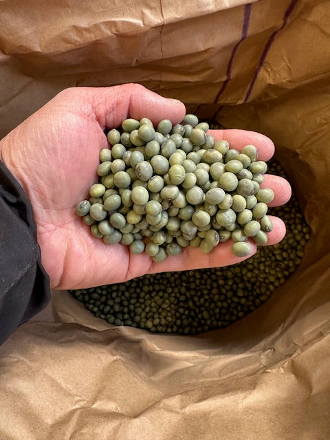 乾燥豆 令和7年産 岩手県 青大豆 500g – いさおと豆の木