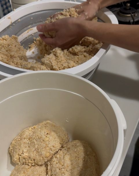 新豆 令和7年産 北海道産 つるの子大豆 500g | お味器用 | いさおと豆の木