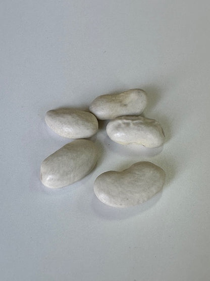 乾燥豆　令和６年産 斗六豆 500g
