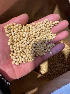 北海道産　白小豆　250g　（きたほたる）