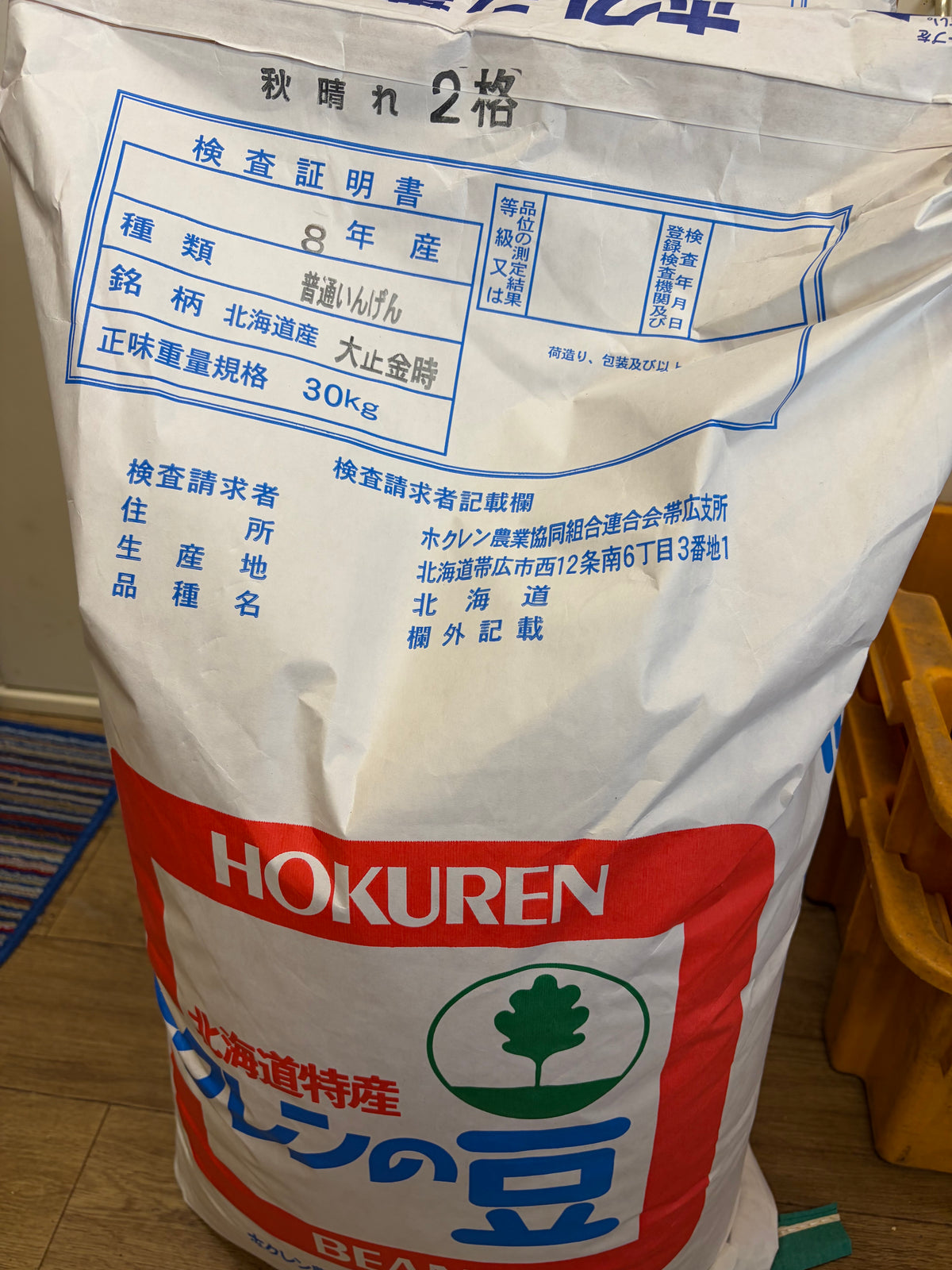 令和8年産 大正金時 500g