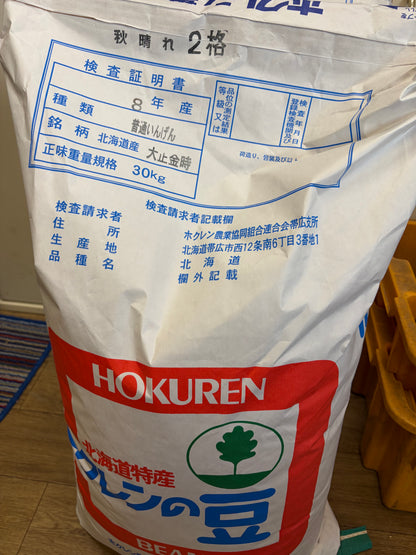令和8年産 大正金時 500g