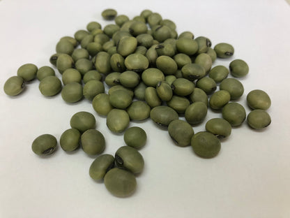 乾燥豆　令和６年産 秋田県 青大豆 500g